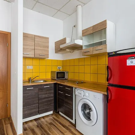 Enjoy Your With Dkn - Mon-sun - Late Night Check-in - Multilanguage - Near Railway Station - Witamy Serdecznie Apartment *
